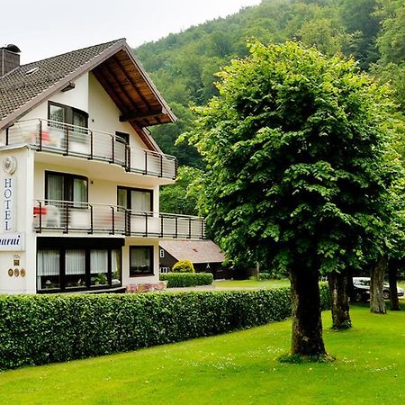 Harz Hotel Iris Sieber Екстериор снимка