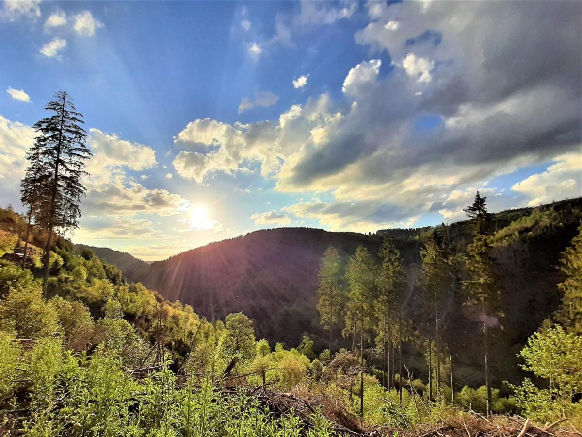 Harz Hotel Iris Sieber Екстериор снимка