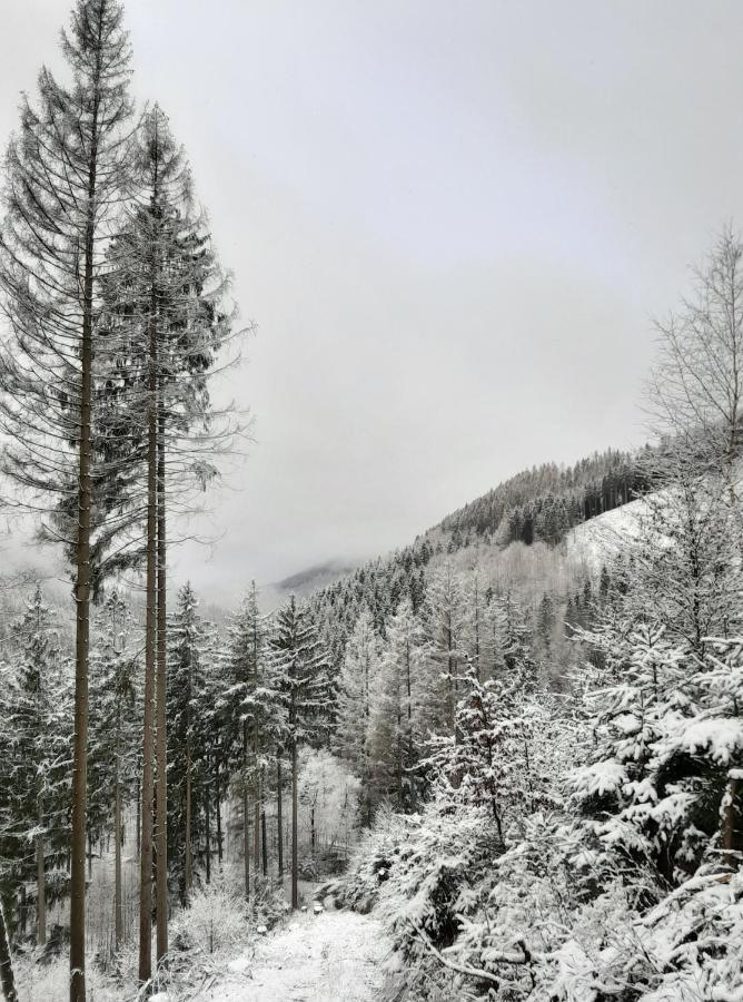 Harz Hotel Iris Sieber Екстериор снимка