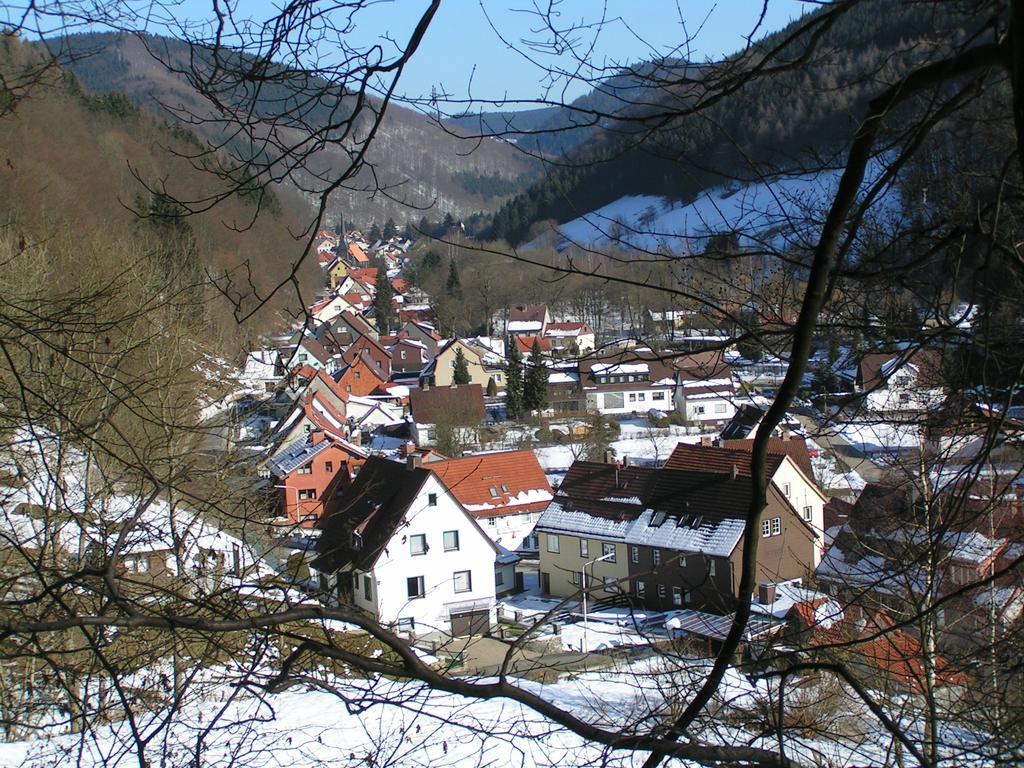 Harz Hotel Iris Sieber Екстериор снимка