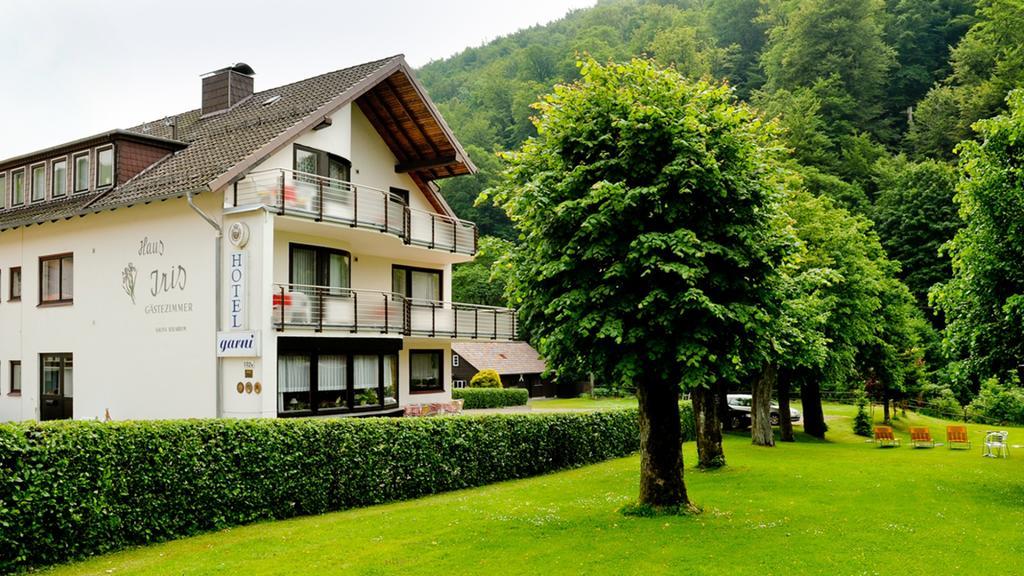 Harz Hotel Iris Sieber Екстериор снимка
