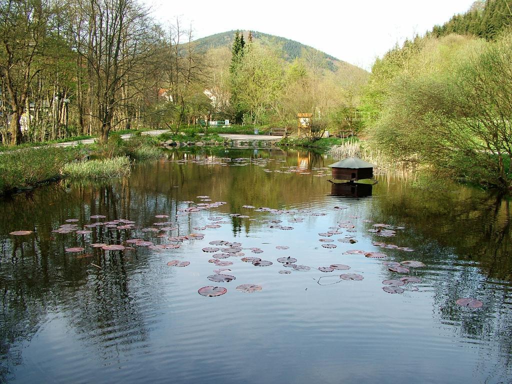Harz Hotel Iris Sieber Екстериор снимка