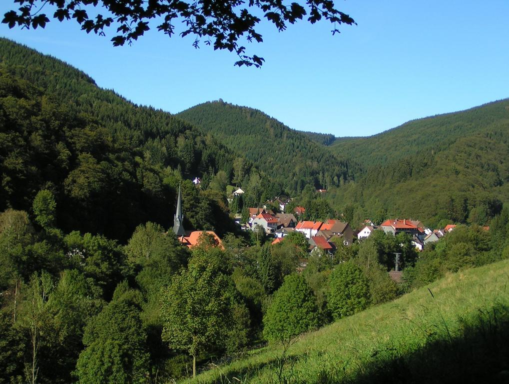 Harz Hotel Iris Sieber Екстериор снимка