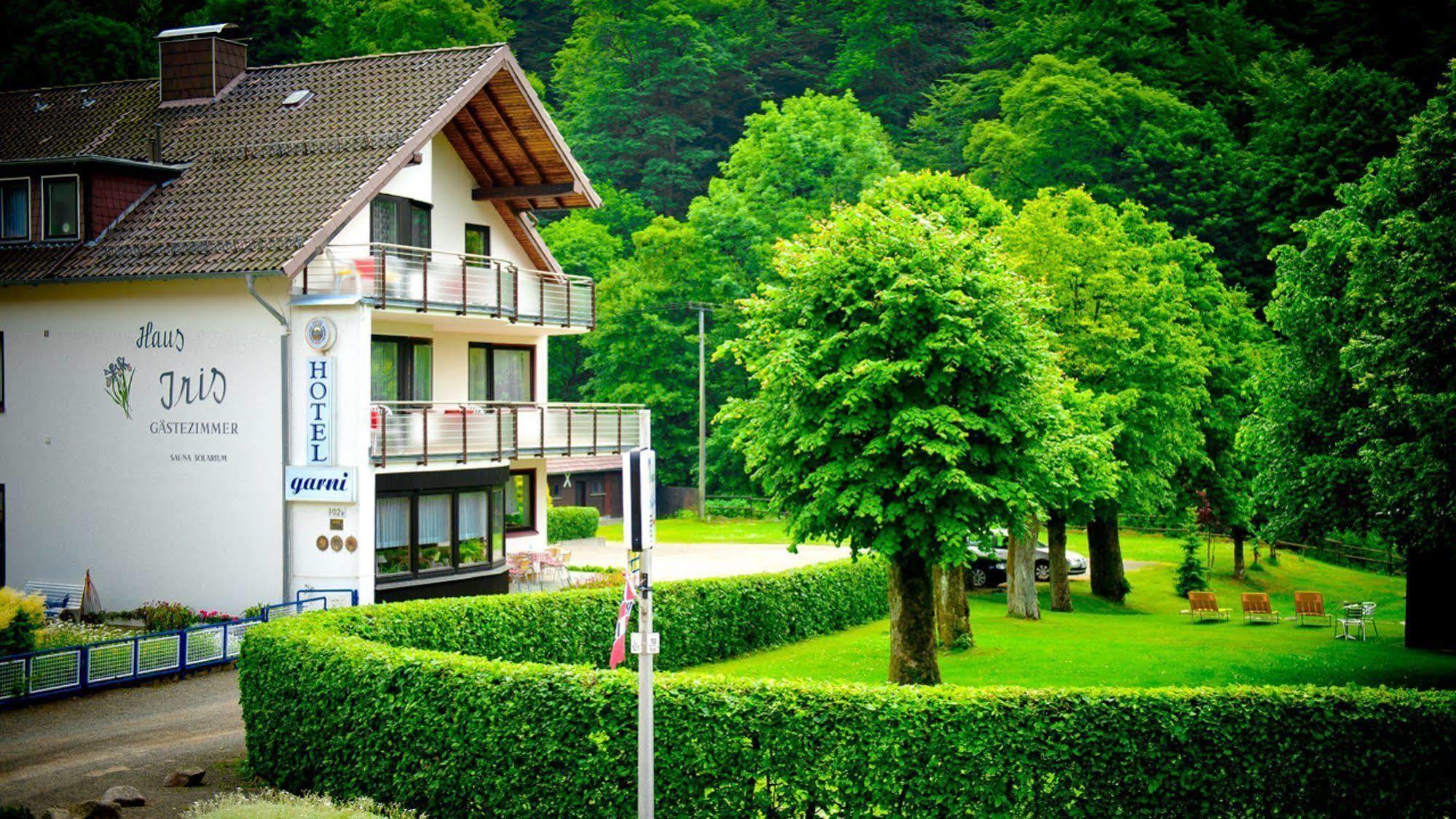Harz Hotel Iris Sieber Екстериор снимка